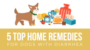 2021.06.07 – DL – DIG Home Remedies blog 2