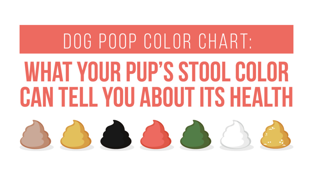 stool quality chart for dog poop - dog poo chart what the colour is ...