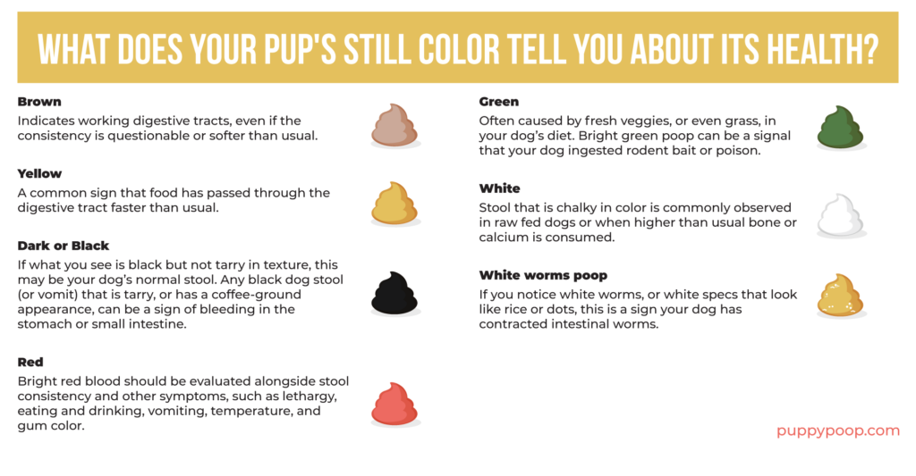 Healthy dog poop color chart with images and explanations.