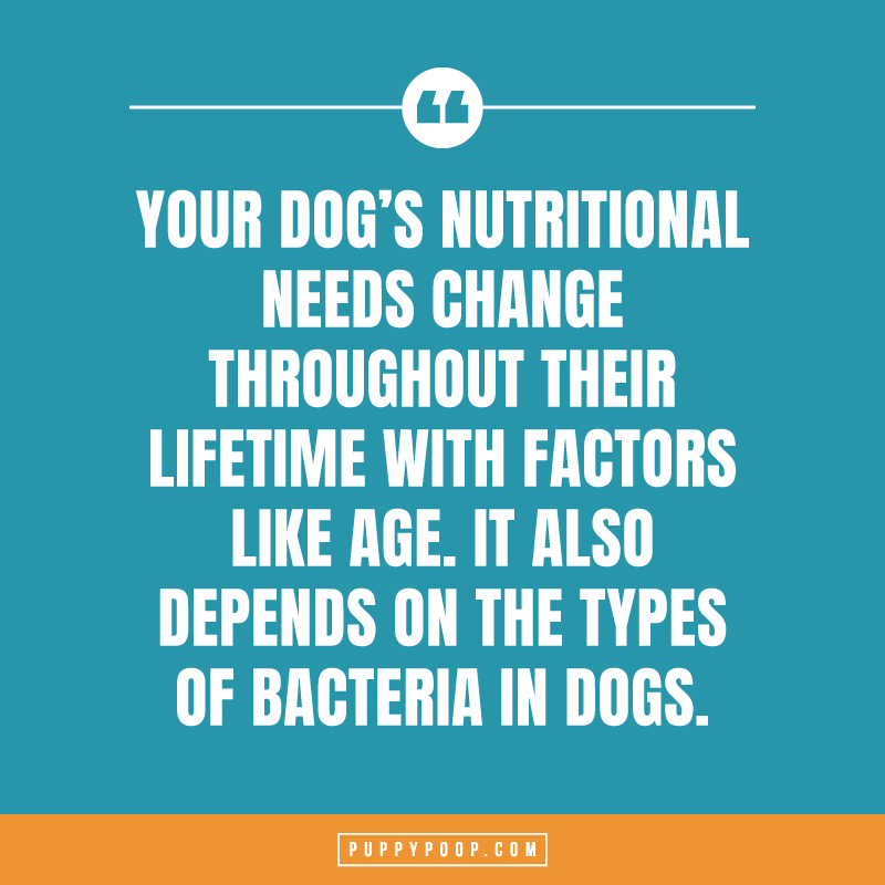 Macros vs micros in your dogs nutrition quote