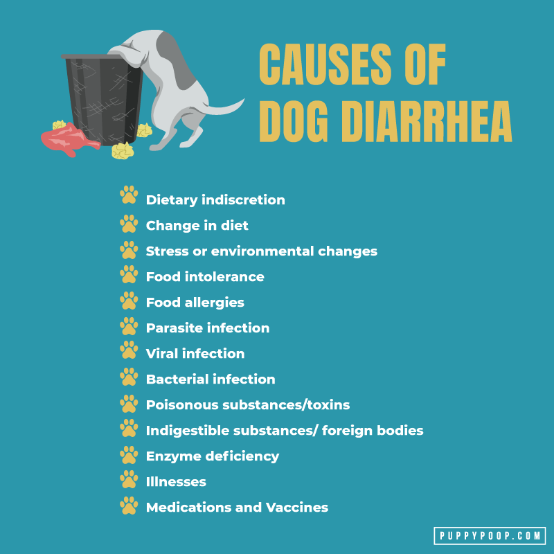 List of causes of dog diarrhea