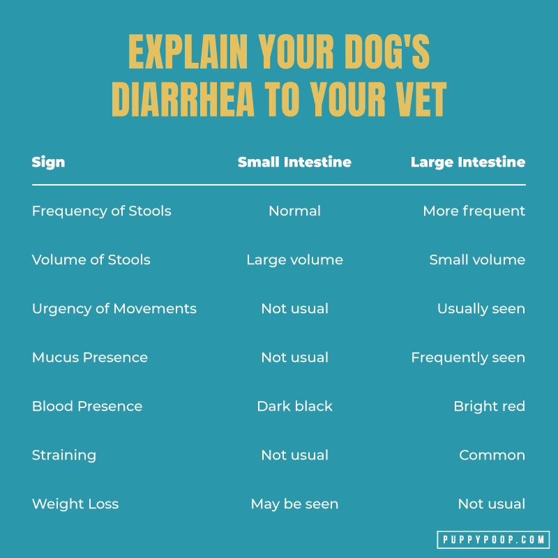How to explain the cause of dog diarrhea table