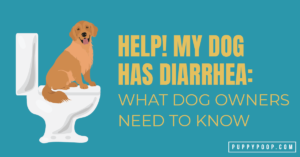 2021.06.24- Causes of Diarrhea – Featured Image