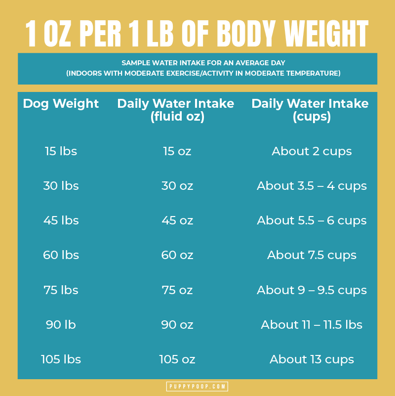 Table showing how much water a dog should get to avoid dog dehydration