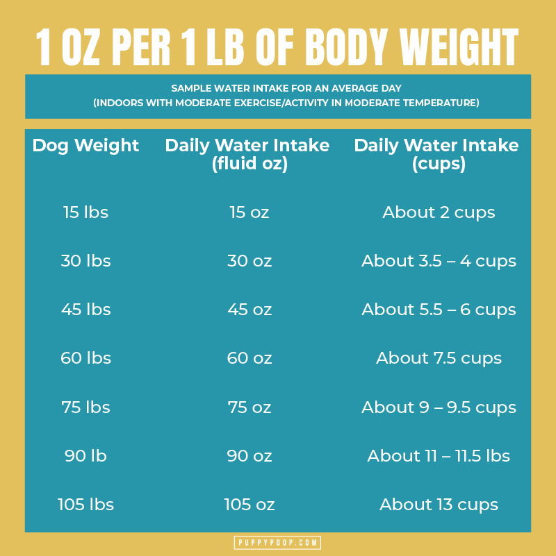 https://puppypoop.com/wp-content/uploads/2021/06/2021.06.30-Dehydration-in-Dogs-Water-Intake-Per-Pound-Table.png