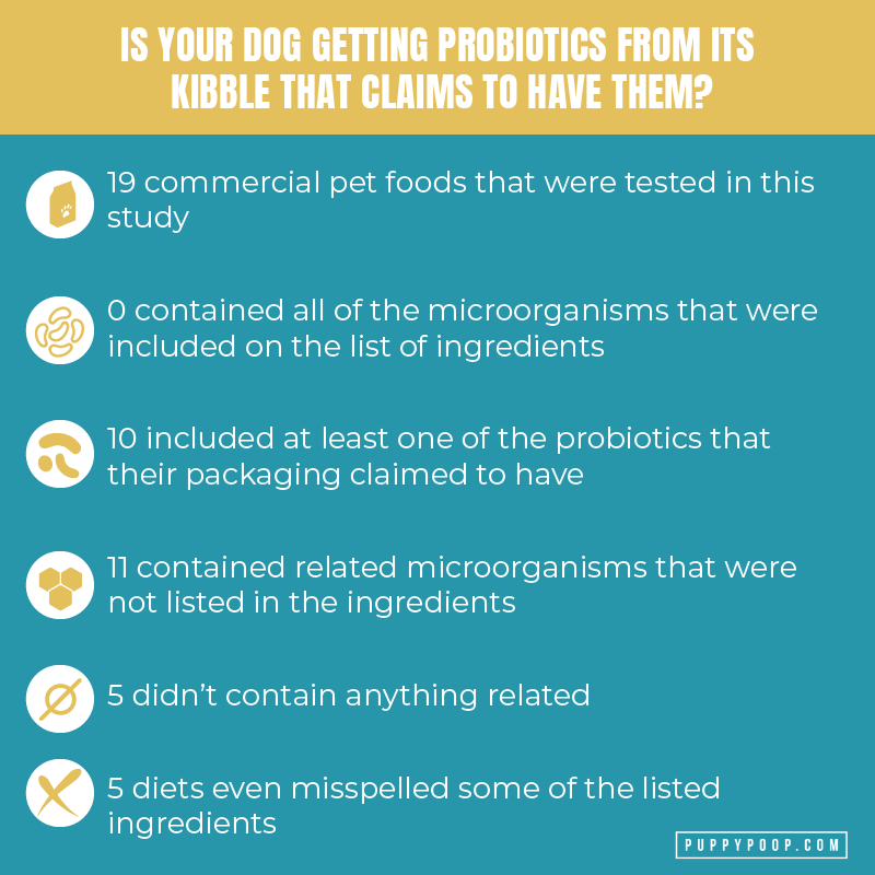 Dog digestion does your dog get probiotics from their food? graphic