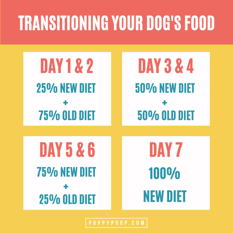 Transitioning to homemade diets and ingredients for dogs chart