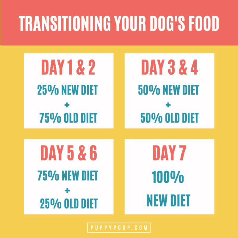 Transitioning  to homemade diets and ingredients for dogs chart