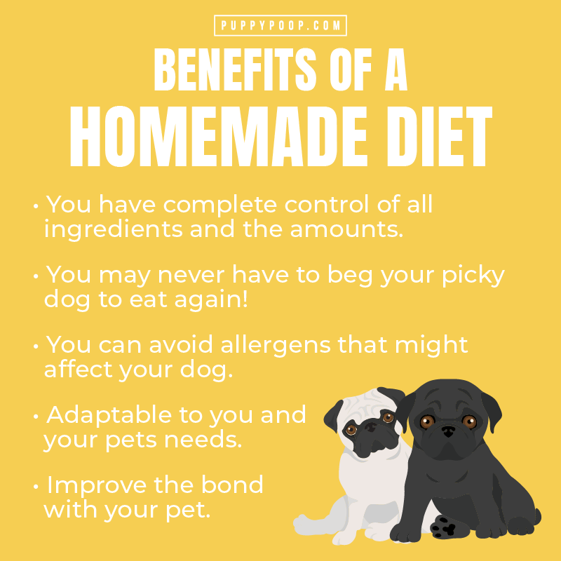 List of benefits of homemade dog food with two pugs in the corner