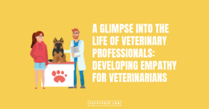 2021.07.27 – DL – Empathy for Veterinarians Featured Image