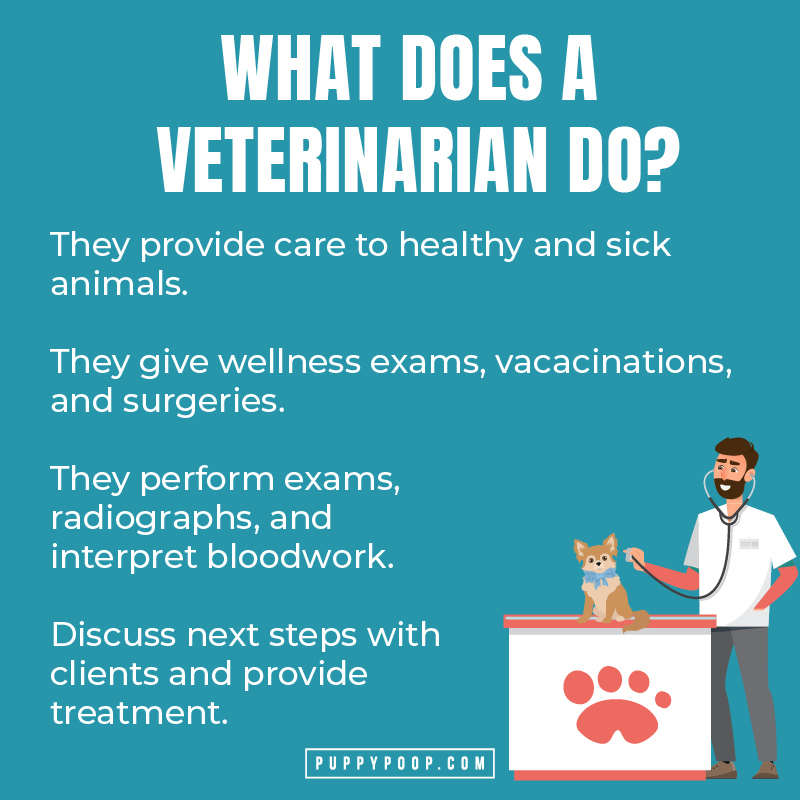 What do challenges veterinarians face