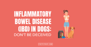 2021.08.04 – DL – IBD Featured Image