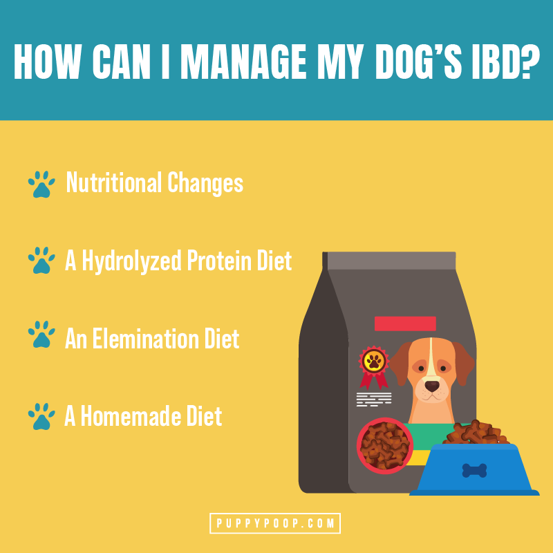 Best diet for store dogs with ibd