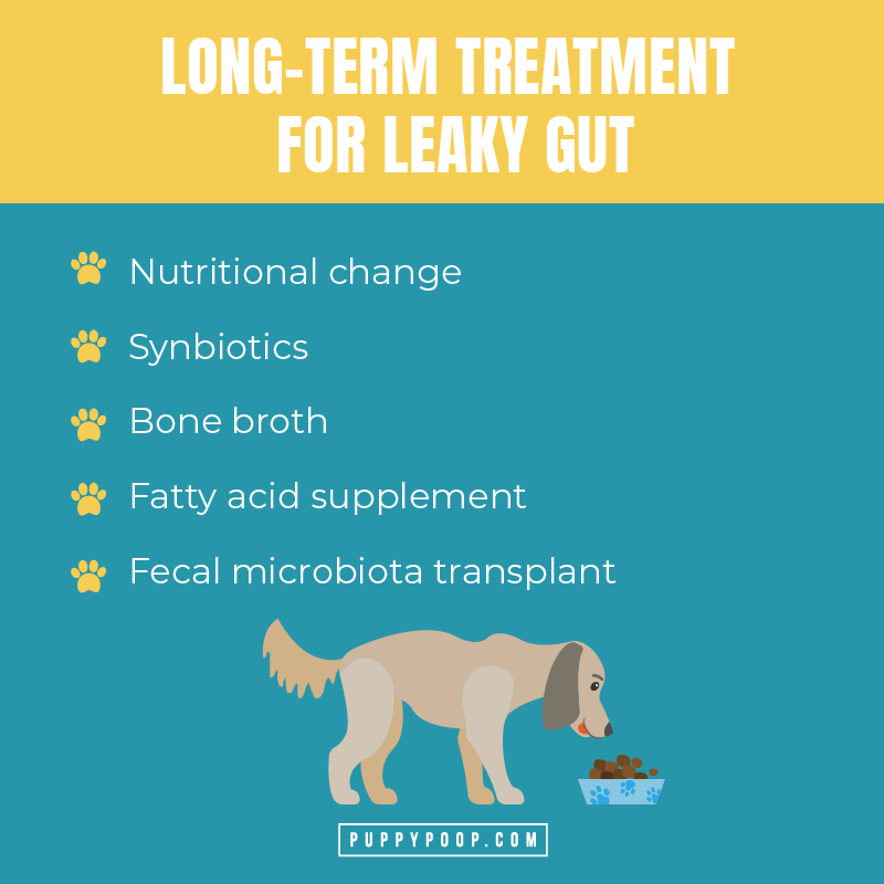 long term treatment for leaky gut in dogs