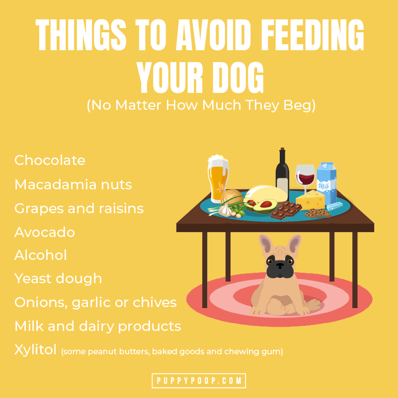 Learn what things to avoid feeding your dog