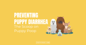 2021.09.01 – DL – Preventing Diarrhea Featured Image