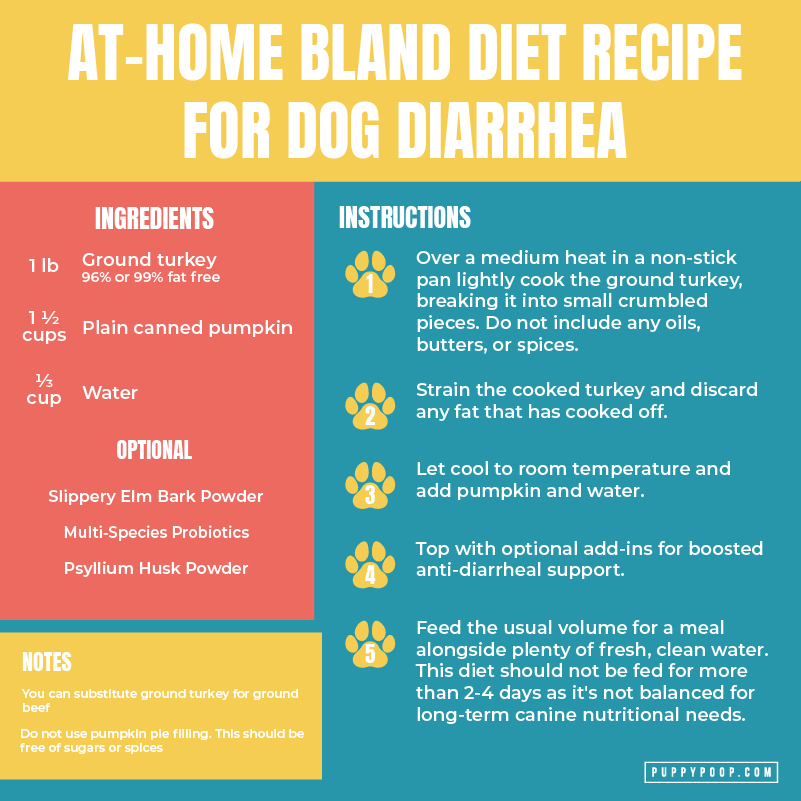 feed my dog rice with this bland diet recipe