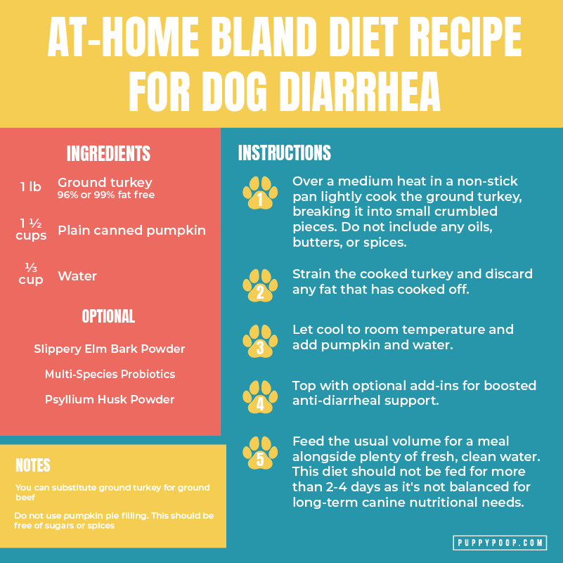 Can I Feed My Dog Rice My Dog Has Diarrhea